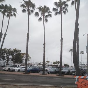 Meet your Posher, Jorge